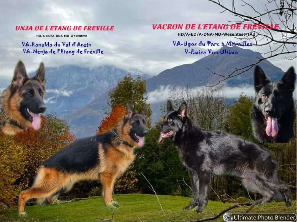 SAILLIE DU 21 JUIN 2025